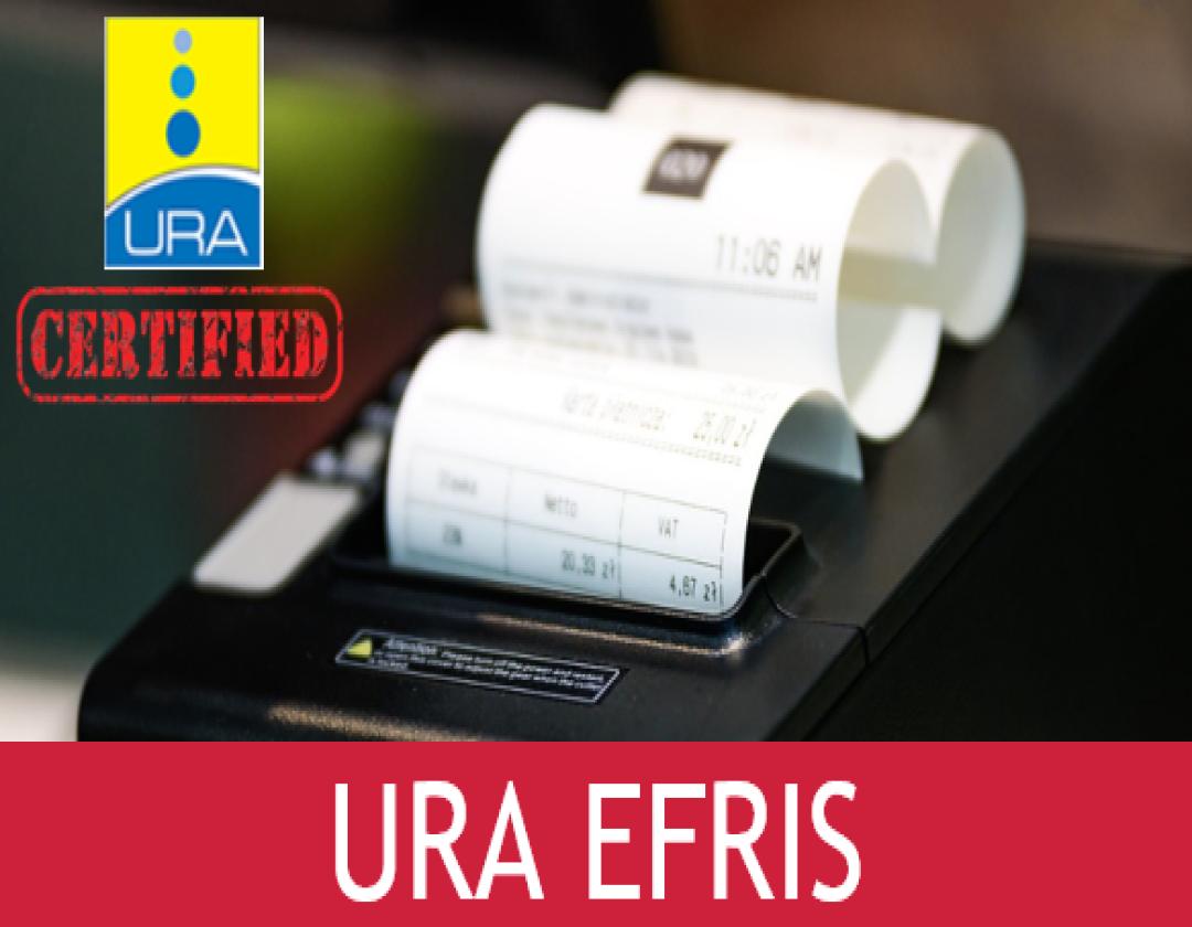 What is EFRIS?